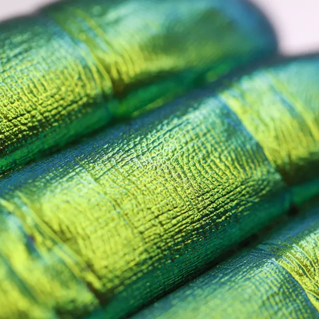 Light Under My Feet - Pigment Machiaj Ama Cameleon