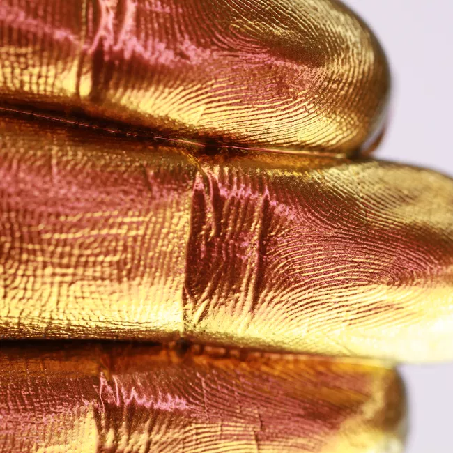 The Princess’ Russet Locks - Pigment Machiaj Ama Cameleon