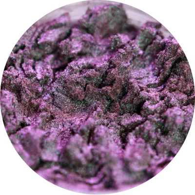 Lost in The Sea of Purple - Pigment Machiaj Ama Cameleon