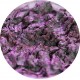 Lost in The Sea of Purple - Pigment Machiaj Ama Cameleon