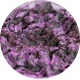 Lost in The Sea of Purple 