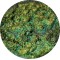 Charms and Spells - Pigment Machiaj Ama Cameleon