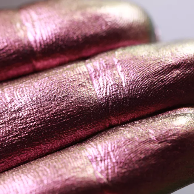 Trapped in The Roseate Court - Pigment Machiaj Ama Cameleon