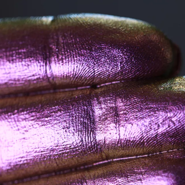 Trapped in The Roseate Court - Pigment Machiaj Ama Cameleon