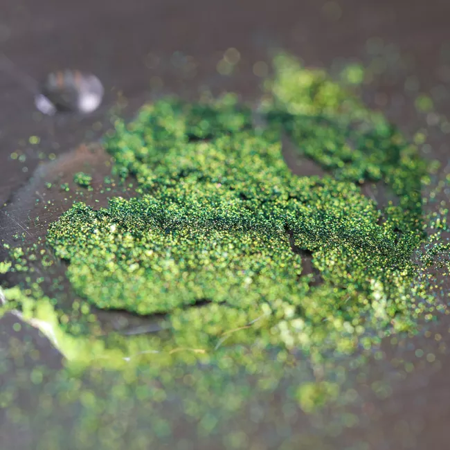 Pixie’s Last Song  Pixie’s Last Song