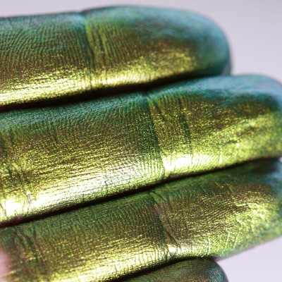 Pixie’s Last Song - Pigment Machiaj Ama Cameleon