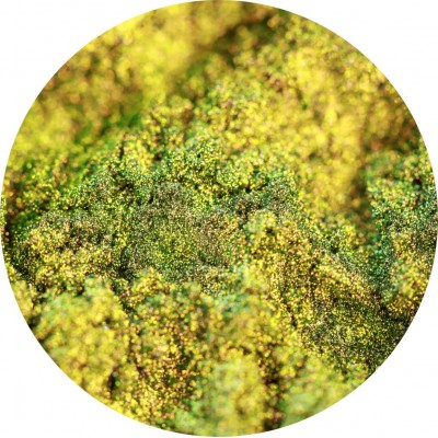 Chameleon Pigment - Bronze/Moss 