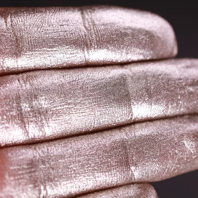 The Spirit of Winter - Pigment Machiaj Ama Cameleon