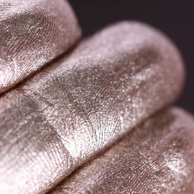 The Spirit of Winter - Pigment Machiaj Ama Cameleon