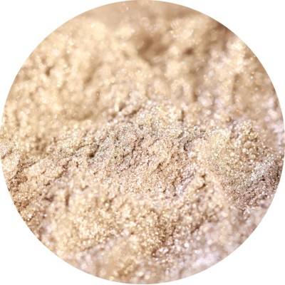 The Spirit of Winter - Pigment Machiaj Ama Cameleon