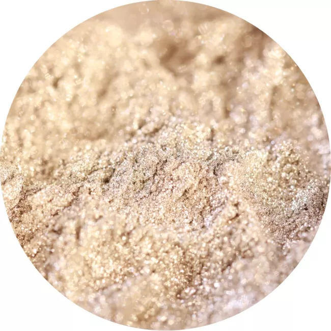 The Spirit of Winter - Pigment Machiaj Ama Cameleon