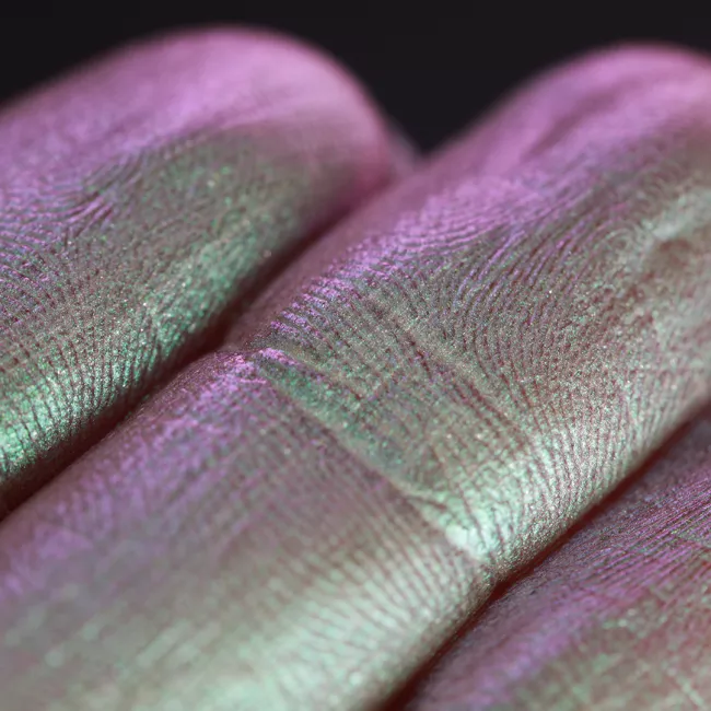 Young Hope - Pigment Machiaj Ama Cameleon