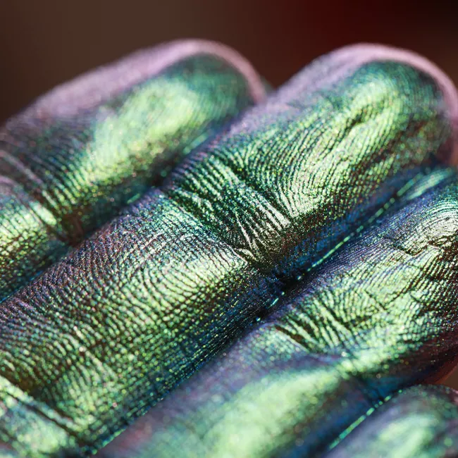 When She Had A Lucky Charm - Pigment Machiaj Ama Cameleon