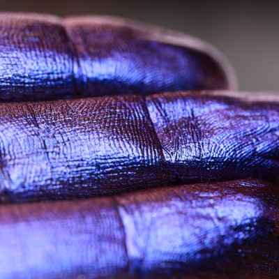 Mulberry Eyes and Onyx Locks - Pigment Machiaj Ama Cameleon