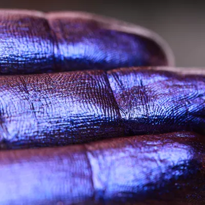 Mulberry Eyes and Onyx Locks- Ama Makeup Pigment Chameleon Mulberry Eyes and Onyx Locks- Ama Makeup Pigment Chameleon