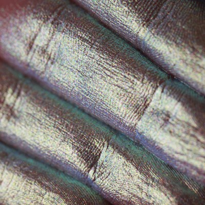 Frozen Blizzard  - Pigment Machiaj Ama Cameleon