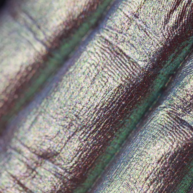 Frozen Blizzard  Frozen Blizzard - Pigment Machiaj Ama Cameleon