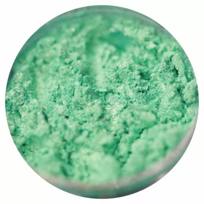 The Everlasting - Pigment Machiaj Ama The Everlasting - Pigment Machiaj Ama