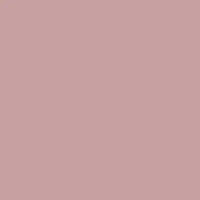 Tint ANNIE ONE DROP LIPS CHEEK EYES - 05 Desert Rose