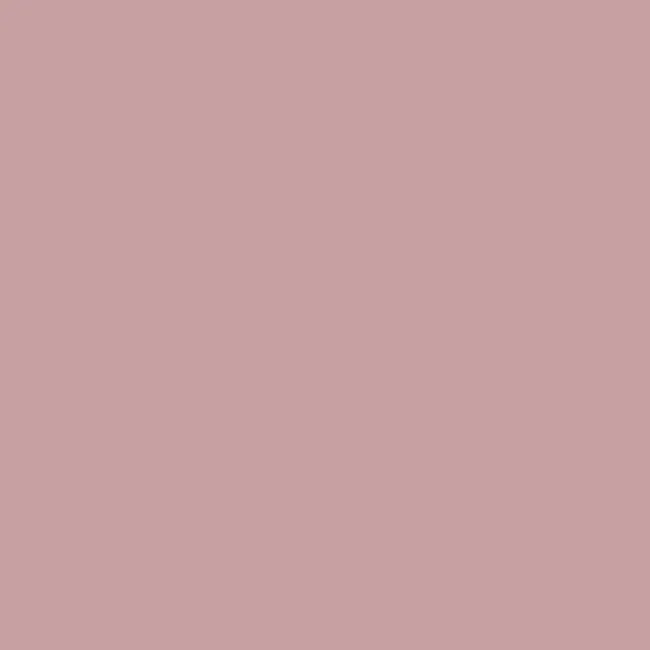 Tint ANNIE ONE DROP LIPS CHEEK EYES - 05 Desert Rose
