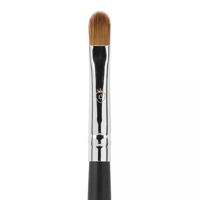 CTR Pensula Plata Detali W0186  CTR Pensula Plata Detali W0186