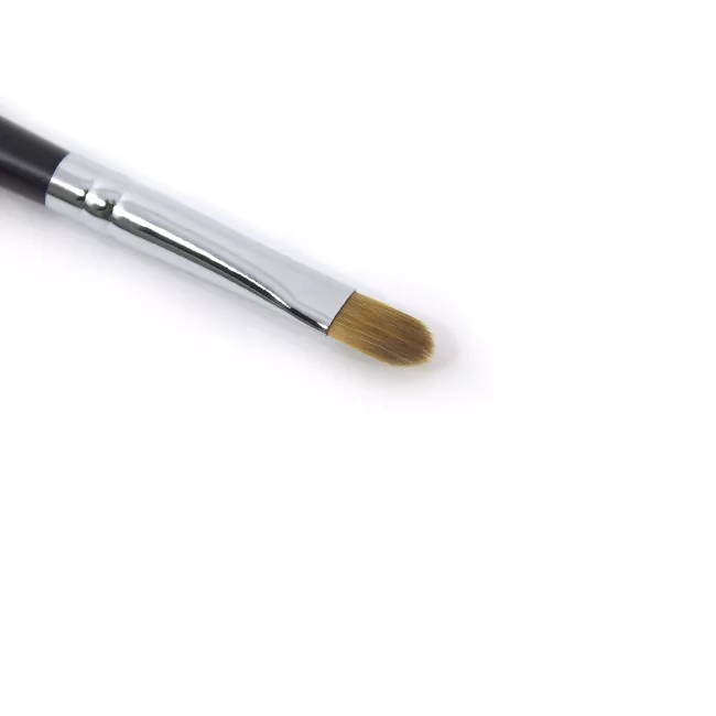 CTR Pensula Plata Detali W0186  CTR Pensula Plata Detali W0186