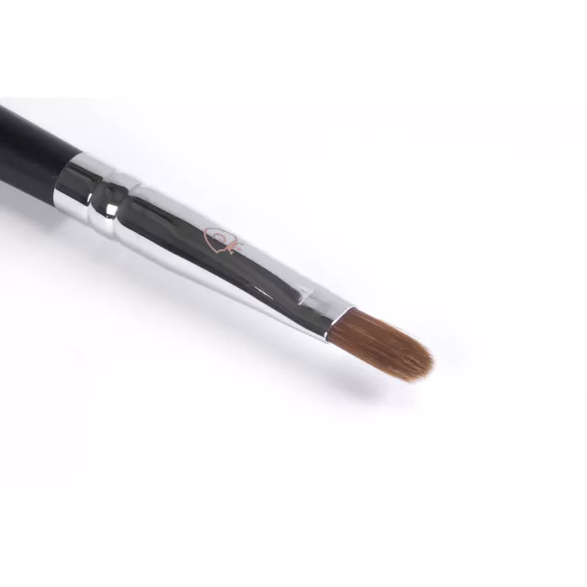 CTR Pensula Buze W604