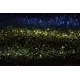 Venus Flakes - Ama Makeup Pigment Venus Flakes - Ama Makeup Pigment