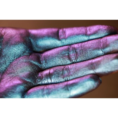 The Lost Night - Pigment Machiaj Ama Cameleon