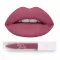 Ruj Lichid Mat Dannes Beauty - Desire