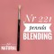 Makeup Brush Blending nr221