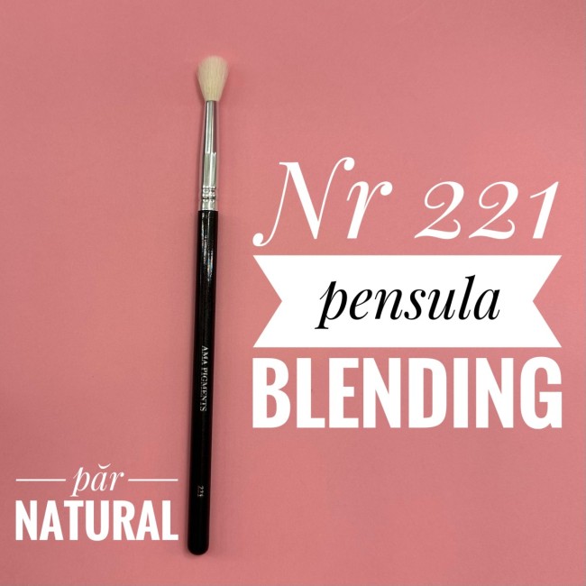 Makeup Brush Blending nr221