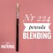 Pensula Machiaj AMA Blending Estompari nr224