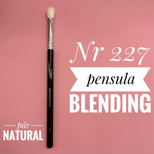 Makeup Brush Blending nr227