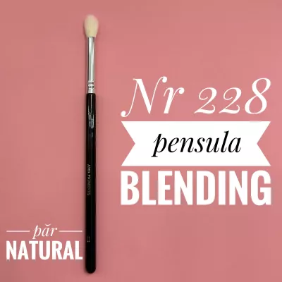 Makeup Brush Blending nr228