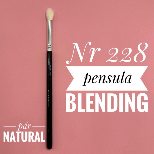 Makeup Brush Blending nr228