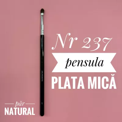 Pensula Machiaj AMA Plata Mica Fard si Pigmenti nr237