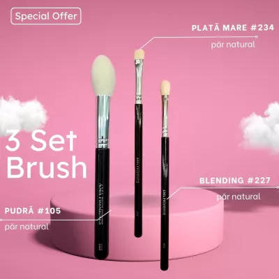 Set 2 Ama Blending And Powder Brush 234/227/105