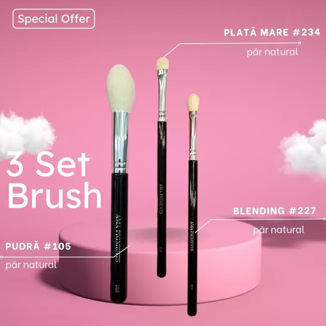 Set 2 Pensule Ama Blending si Pudra 234/227/105