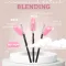 Set 1 Pensule Ama Blending 224/221/230