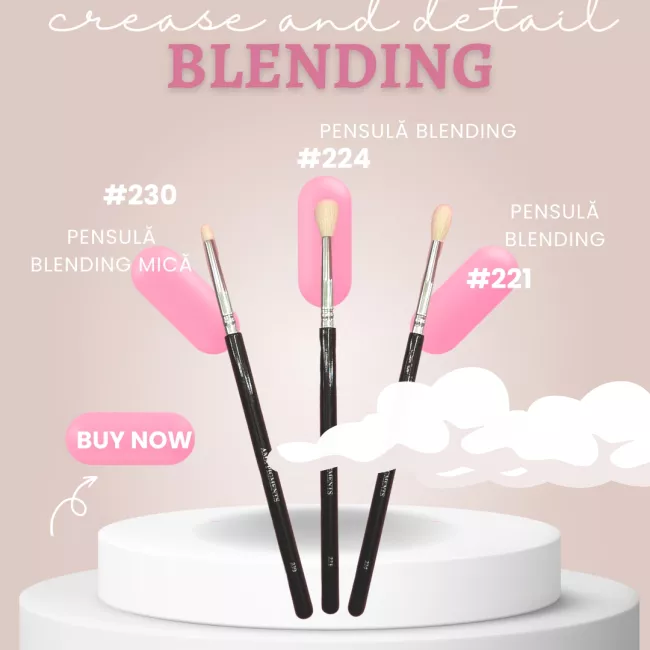 Set 1 Pensule Ama Blending 224/221/230