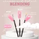 Set 1 Pensule Ama Blending 224/221/230