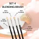 Set 4 Pensule Ama Blending 221/224/228/230