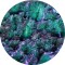 Dragon Flakes Under the Sun - Pigment Machiaj Ama Cameleon