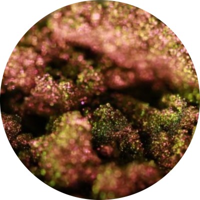 Maiden’s Cheeks - Ama Makeup Pigment Chameleon