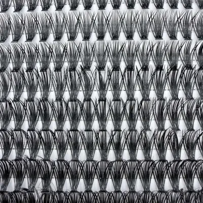 Gene False Big Pack KIWI