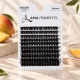 Gene False Big Pack MANGO