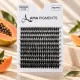 Gene False Big Pack PAPAYA
