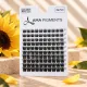 Gene False Big Pack SUNFLOWER