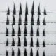 Gene False Big Pack IRIS